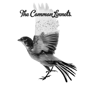 The Common linnets II